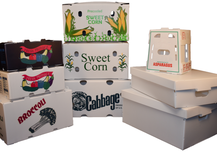 Plastic Assortment copy